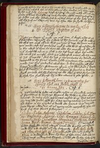 MS 36674 f.9v (parşömen üzerine mürekkep) ekleyin 