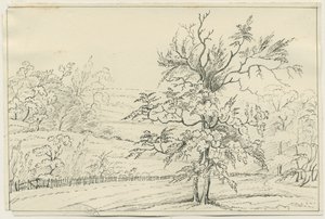 Cannock Chase: kalem ve karakalem, nd [?19th Century] (çizim) by School English