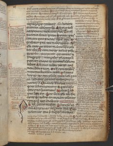 Harley 1802, f.19r, Maelbrigte İncilleri