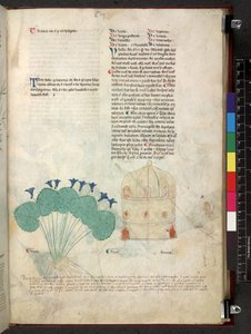 Egerton 747 Tractatus de otlar (Bitkisel) c.1280-1310 (parşömen üzerine mürekkep ve renk) by School Italian
