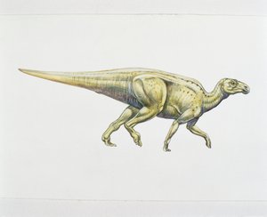 Hadrosaurid veya ördek gagalı dinozor (renkli taş) by School Italian