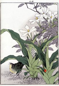 Çiçeklerdeki kuş - Japonca baskı by Japanese School