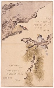 Bir Ağaçta İki Kuş by School Japanese