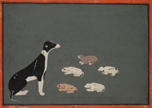 Yavrulu köpek, 1780 civarı (kağıt üzerine mürekkep ve opak suluboya) by School Mughal