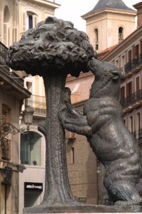 Madrono