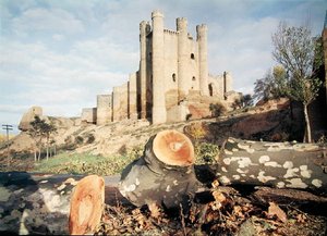 Valensiya Kontları tarafından 14. ve 15. yüzyıllarda inşa edilen Castillo de Coyanza (fotoğraf) by School Spanish