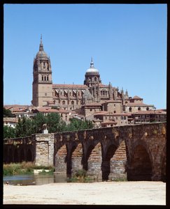 Tormes nehri ve katedral üzerindeki Roma köprüsünün görünümü by School Spanish