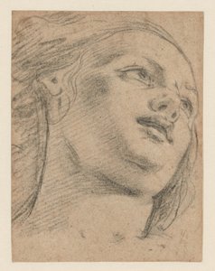 Sağa Bakarak Kadın Baş Çalışması (rekto); Bir Nesneyi Destekleyen İki Figürün İncelenmesi (versi) by School of Guido Reni