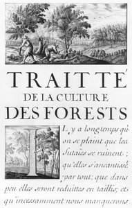 Ms 260 tome IV Frontispiece of 