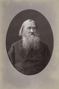 Şair Alexei Nikolaevich Pleshcheev