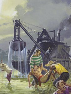 by Severino Baraldi