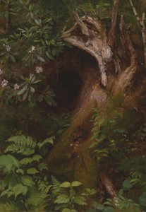 Sincap by Seymour Joseph Guy