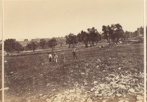 Şehrin Genel Görünümü & c. kuzeyden by Sgt. James M. McDonald