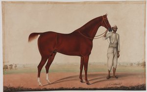 Bir at ve damat, 1840 dolayları