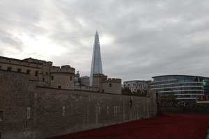 Kanlı Topraklar ve Kızıl Denizler, Londra Kulesi, 2014.