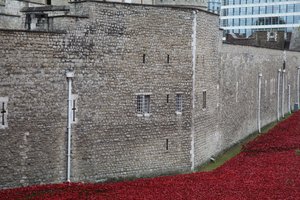 Kanlı Topraklar ve Kızıl Denizler, Londra Kulesi, 2014.