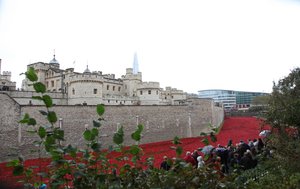 Kanlı Topraklar ve Kızıl Denizler, Londra Kulesi, 2014.