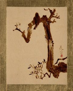 Ağaçta Karga. by Shibata Zeshin