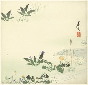 Bir dere kenarında bahar çiçekleri by Shibata Zeshin