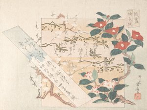Çiçekli Yazı-Kağıt Tasarımları, 19. yy., 19. yy.