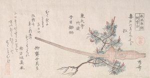 Genç Çam Ağacı ve Sabanın Sapı, 19. yüzyıl., 19. yüzyıl. by Shinsai