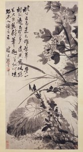 Hibiscus, Lotus ve Rock, ca. 1705-7.