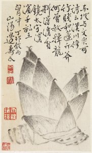 Bamboo Shoots, bir sebze albümünden (kağıt üzerine mürekkep) by Shou min Pien