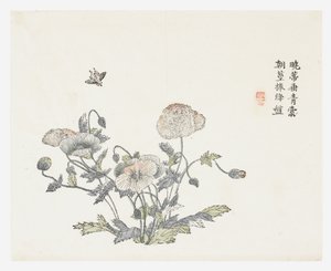 Hardal Tohumu Bahçesi by Shun Kung Chien