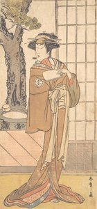 Tee c ve r Segawa Kiku no Onna Tird Oiran planı gibi, değil mi? 1780. by Shunsho