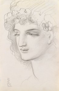 Sal üzerinde bir Menagerie by Simeon Solomon
