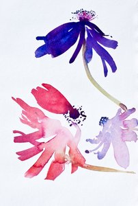 Anemonlar II, 2010 (suluboya) by Simon Fletcher