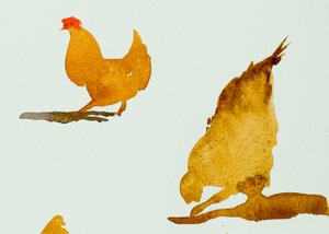 Tavuklar, biri tırmalıyor, 2013 (suluboya) by Simon Fletcher