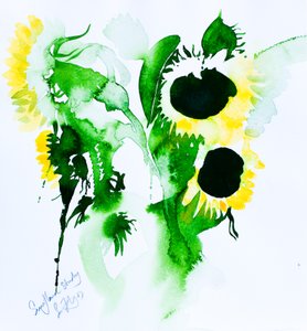 Ayçiçeği çalışması, 2005 (suluboya) by Simon Fletcher