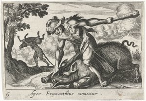 Herkül, Erymanthus