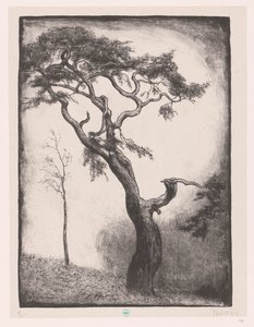 çam ağacı by Simon Moulijn (signed by artist)