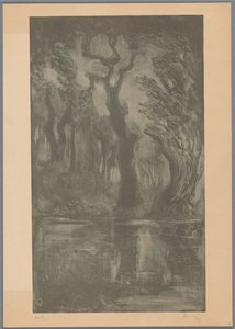 Ormanda su Rüya Ormanı (orijinal başlık) by Simon Moulijn (signed by artist)
