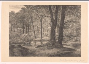 Hunnenschans'ın Veluwe'deki görünümü Hunnenschans (orijinal başlık)
