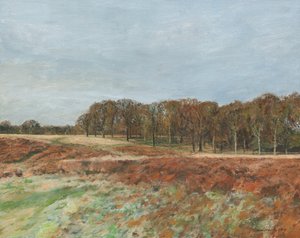 Richmond Park, 2019 (tuval üzerine yağlıboya)