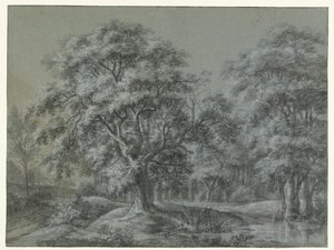Bir su ile orman manzarası by Simon de Vlieger