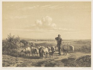 Bozkırda koyunlarıyla çoban
