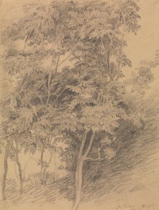 Ağaç Çalışması by Sir David Wilkie