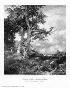 Orman Meşeleri, Fontainebleau, 1908.