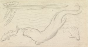 Vitray Çalışması, Bir Su Samuru ve İki Balık by Sir John Everett Millais