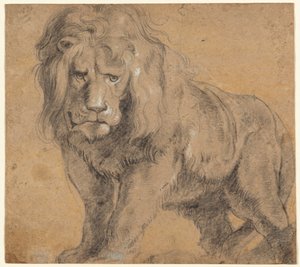 Aslan