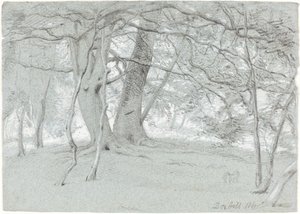 Box Hill