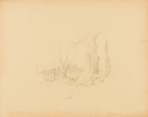  by Solon H. Borglum