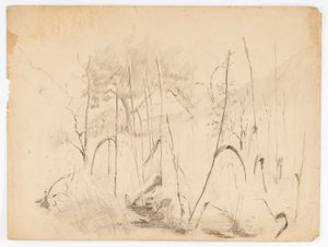  by Solon H. Borglum