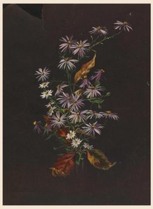 Sonbahar Buketi, ca. 1890