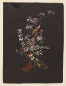 Bir Sonbahar Buketi Çalışması by Sophia L. Crownfield