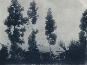 New Croesus Gold Mining Company yakınlarında bir Hollanda Çiftliği (s/b fotoğraf) by South African Photographer